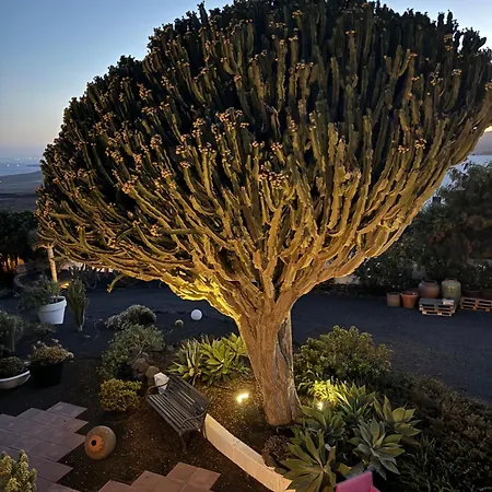 Bed & Breakfast 5 Lanzarote Macher