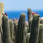 5 Lanzarote B&B Mácher
