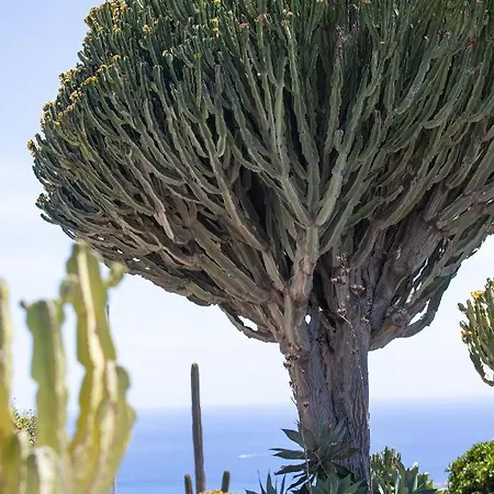 5 Lanzarote 4*